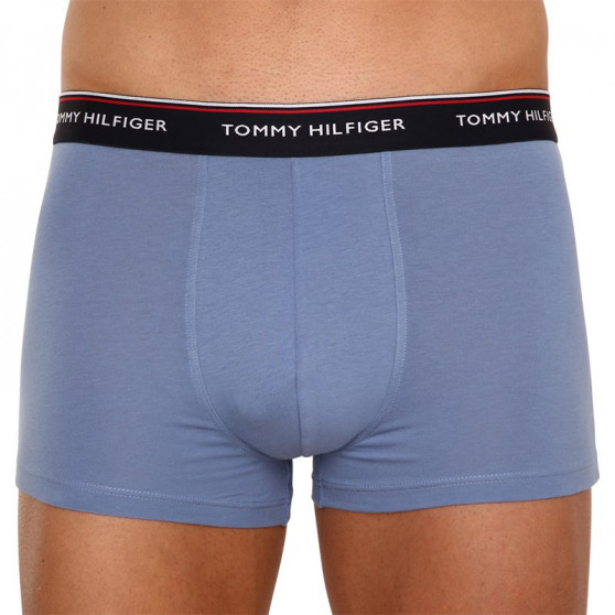 3PACK Vyriški boksininko šortai Tommy Hilfiger daugiaspalviai (1U87903842 0TU)