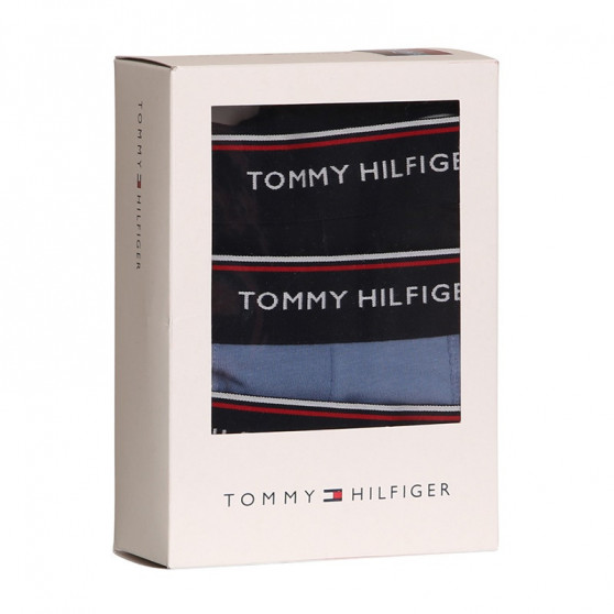 3PACK Vyriški boksininko šortai Tommy Hilfiger daugiaspalviai (1U87903842 0TU)