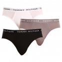 3PACK Vyriškos kelnaitės Tommy Hilfiger multicolour (UM0UM02206 0TG)