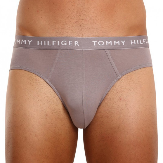 3PACK Vyriškos kelnaitės Tommy Hilfiger multicolour (UM0UM02206 0TG)