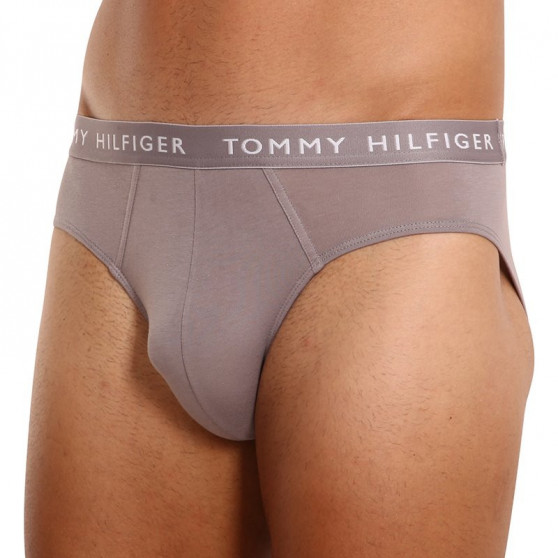 3PACK Vyriškos kelnaitės Tommy Hilfiger multicolour (UM0UM02206 0TG)