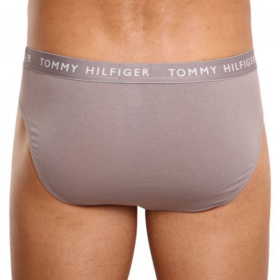 3PACK Vyriškos kelnaitės Tommy Hilfiger multicolour (UM0UM02206 0TG)