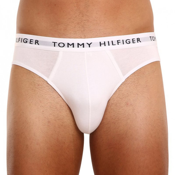 3PACK Vyriškos kelnaitės Tommy Hilfiger multicolour (UM0UM02206 0TG)