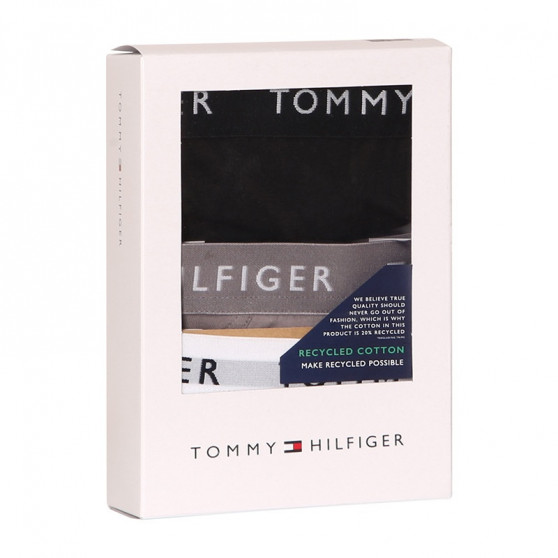 3PACK Vyriškos kelnaitės Tommy Hilfiger multicolour (UM0UM02206 0TG)