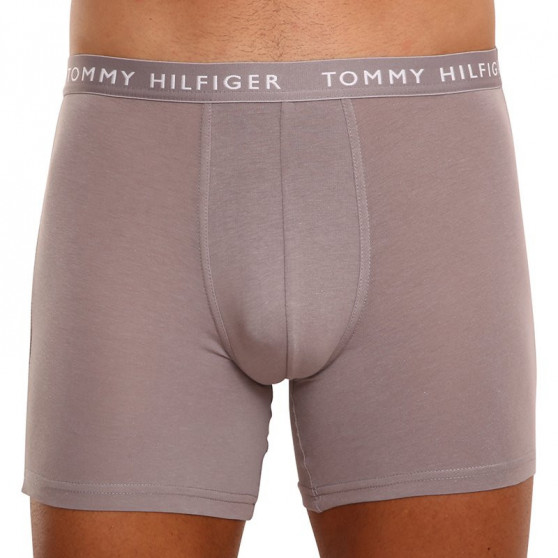 3PACK Vyriški boksininko šortai Tommy Hilfiger daugiaspalviai (UM0UM02204 0TG)