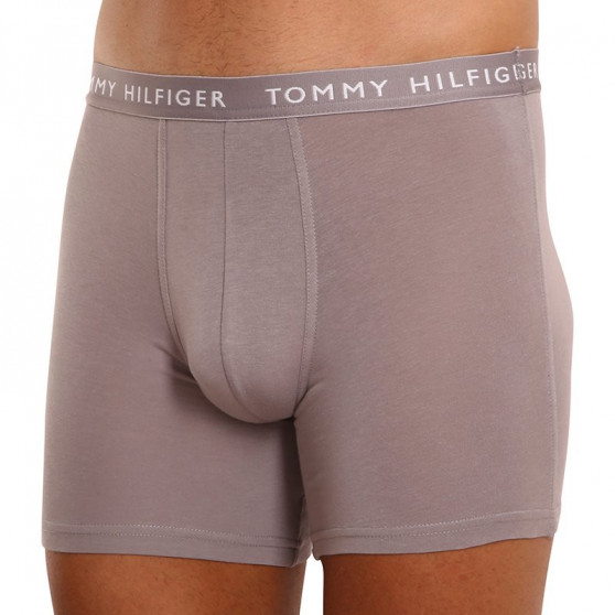 3PACK Vyriški boksininko šortai Tommy Hilfiger daugiaspalviai (UM0UM02204 0TG)