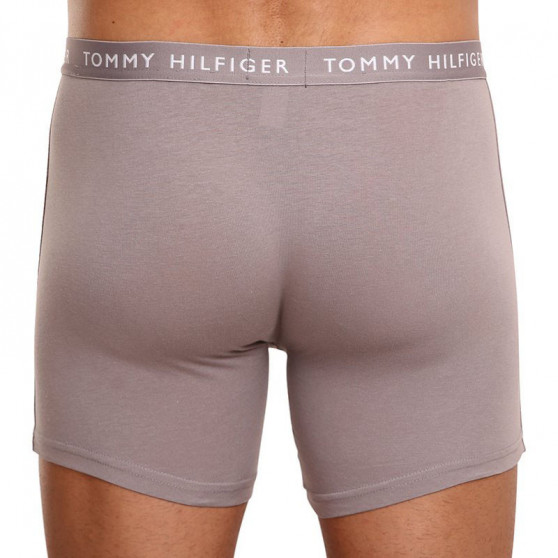 3PACK Vyriški boksininko šortai Tommy Hilfiger daugiaspalviai (UM0UM02204 0TG)