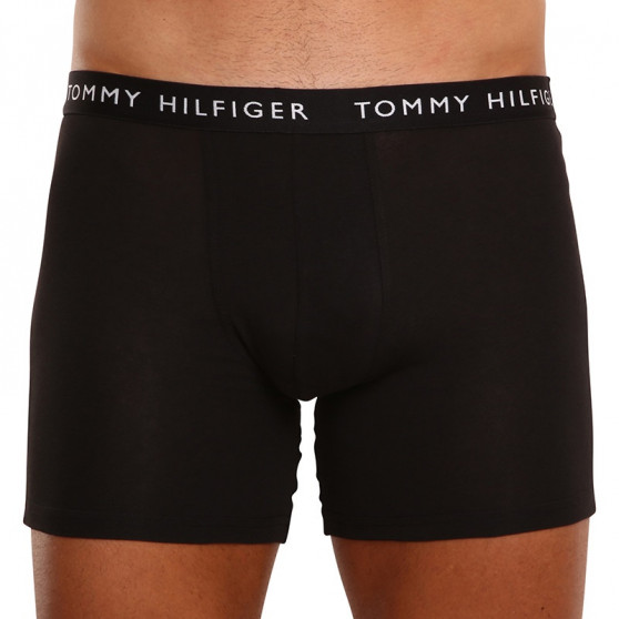 3PACK Vyriški boksininko šortai Tommy Hilfiger daugiaspalviai (UM0UM02204 0TG)