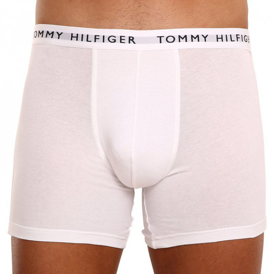 3PACK Vyriški boksininko šortai Tommy Hilfiger daugiaspalviai (UM0UM02204 0TG)