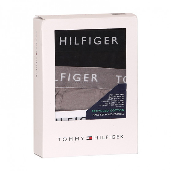 3PACK Vyriški boksininko šortai Tommy Hilfiger daugiaspalviai (UM0UM02204 0TG)