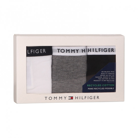 3PACK Moteriškos kelnaitės Tommy Hilfiger multicolour (UW0UW02828 0TF)