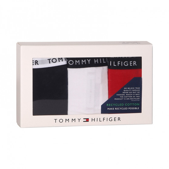 3PACK Moteriškos kelnaitės Tommy Hilfiger multicolour (UW0UW02828 0WS)