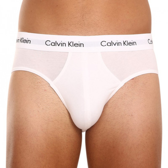 3PACK Vyriškos kelnaitės Calvin Klein multicolour (U2661G-998)