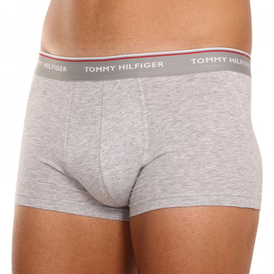 3PACK Vyriški boksininko šortai Tommy Hilfiger daugiaspalviai (1U87903841 004)