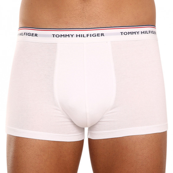 3PACK Vyriški boksininko šortai Tommy Hilfiger daugiaspalviai (1U87903841 004)