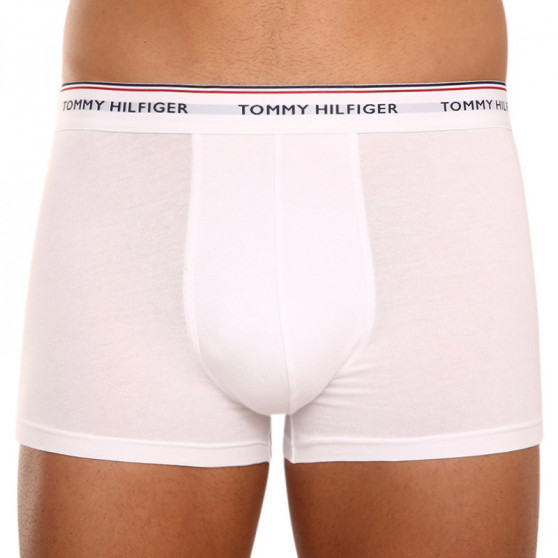 3PACK Vyriški boksininko šortai Tommy Hilfiger daugiaspalviai (1U87903842 004)