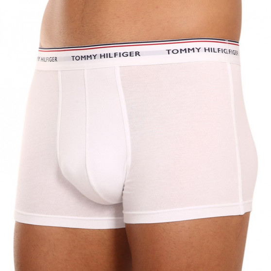 3PACK Vyriški boksininko šortai Tommy Hilfiger daugiaspalviai (1U87903842 004)