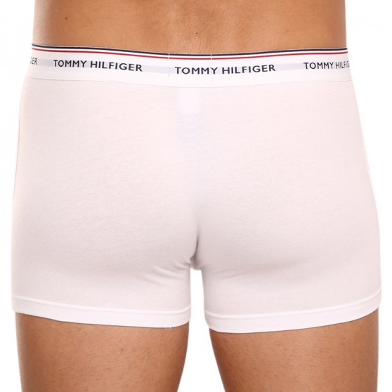 3PACK Vyriški boksininko šortai Tommy Hilfiger daugiaspalviai (1U87903842 004)