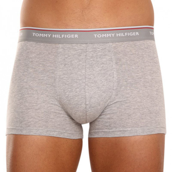 3PACK Vyriški boksininko šortai Tommy Hilfiger daugiaspalviai (1U87903842 004)