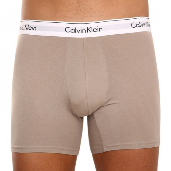 3PACK Vyriški boksininko šortai Calvin Klein daugiaspalviai (NB2381A-67A)