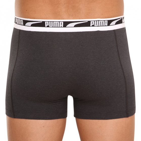 2PACK Vyriški boksininko šortai Puma daugiaspalviai (701219366 002)