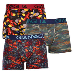 3PACK Vyriški boksininko šortai Gianvaglia daugiaspalviai (GVG-5506)