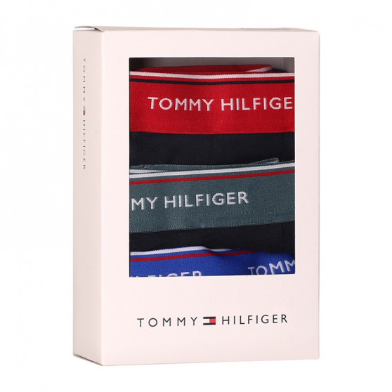 3PACK Vyriški boksininko šortai Tommy Hilfiger tamsiai mėlyni (UM0UM01642 0SN)