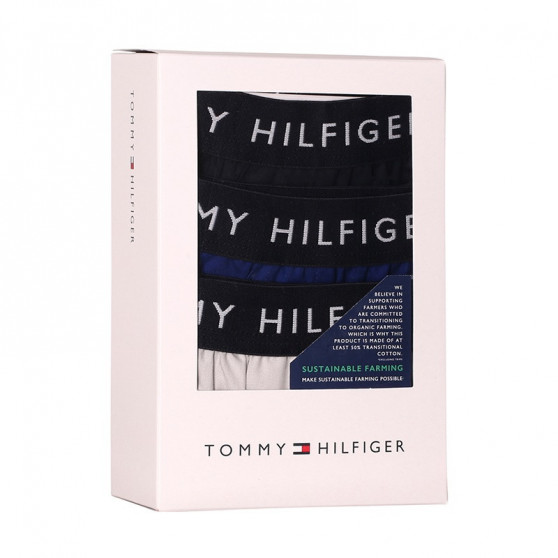 3PACK Vyriški šortai Tommy Hilfiger multicolour (UM0UM02327 0UK)