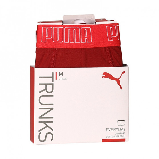 2PACK Vyriški boksininko šortai Puma daugiaspalviai (100000884 045)