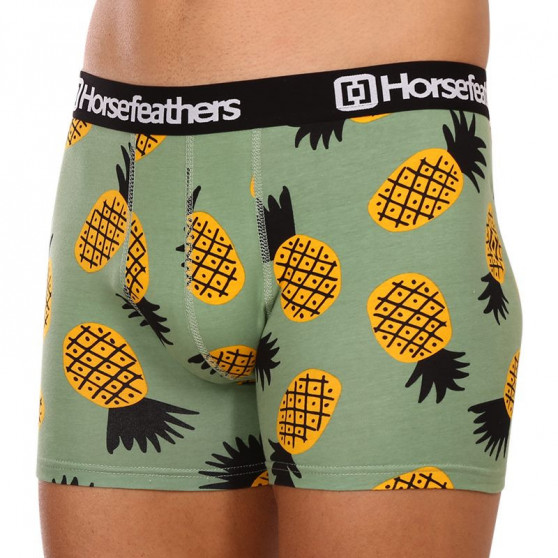 Vyriški boksininko šortai Horsefeathers Sidney Pineapple (AM164G)