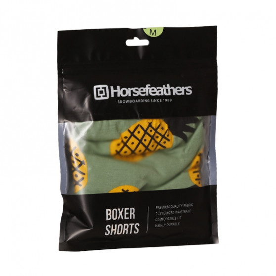 Vyriški boksininko šortai Horsefeathers Sidney Pineapple (AM164G)