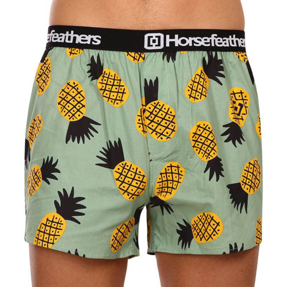 Vyriški šortai Horsefeathers Frazier pineapple (AM166D)