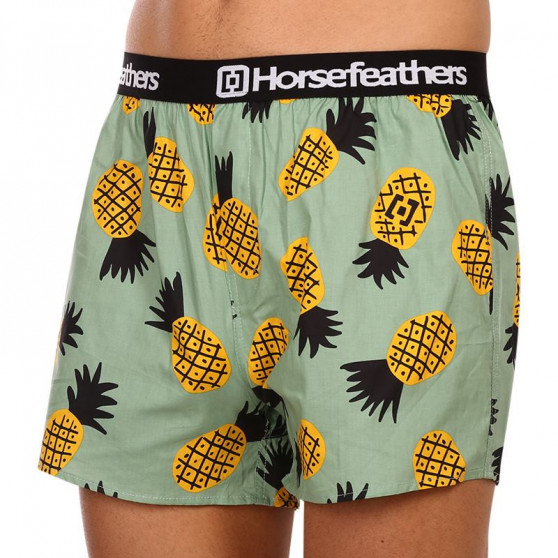 Vyriški šortai Horsefeathers Frazier pineapple (AM166D)