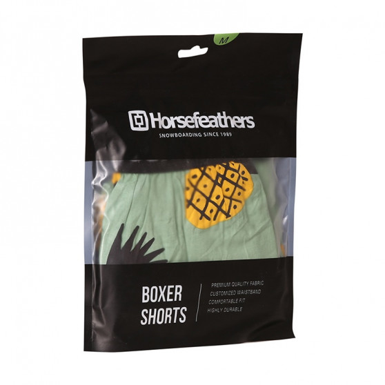 Vyriški šortai Horsefeathers Frazier pineapple (AM166D)