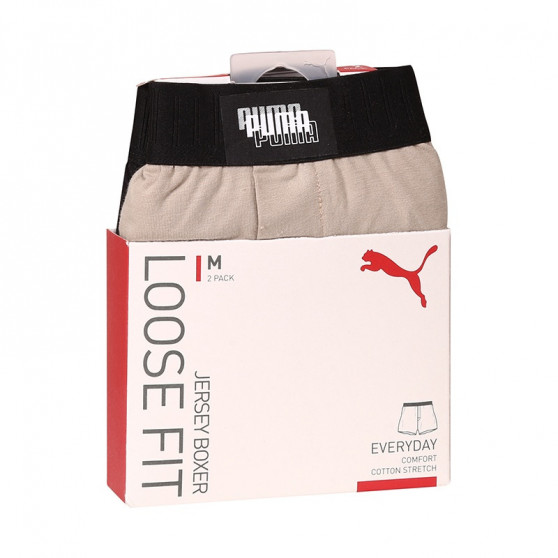 2PACK Vyriški šortai Puma multicolour (701210980 004)