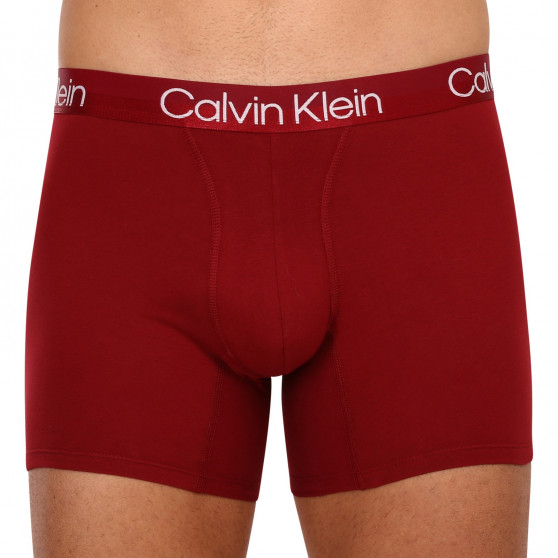 3PACK Vyriški boksininko šortai Calvin Klein daugiaspalviai (NB2971A-6IN)