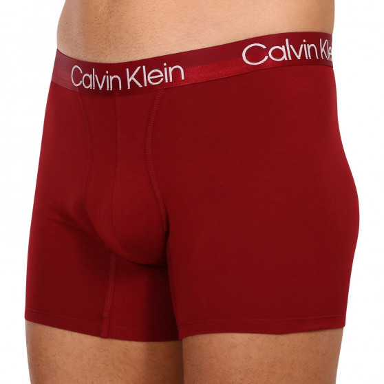 3PACK Vyriški boksininko šortai Calvin Klein daugiaspalviai (NB2971A-6IN)