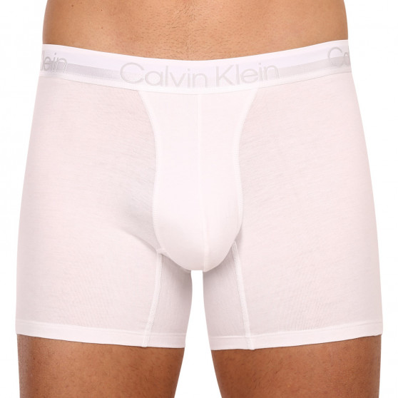 3PACK Vyriški boksininko šortai Calvin Klein daugiaspalviai (NB2971A-6IN)