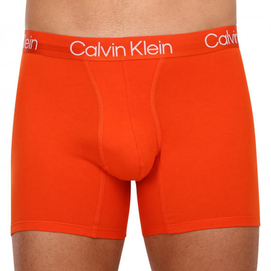 3PACK Vyriški boksininko šortai Calvin Klein daugiaspalviai (NB2971A-6IN)