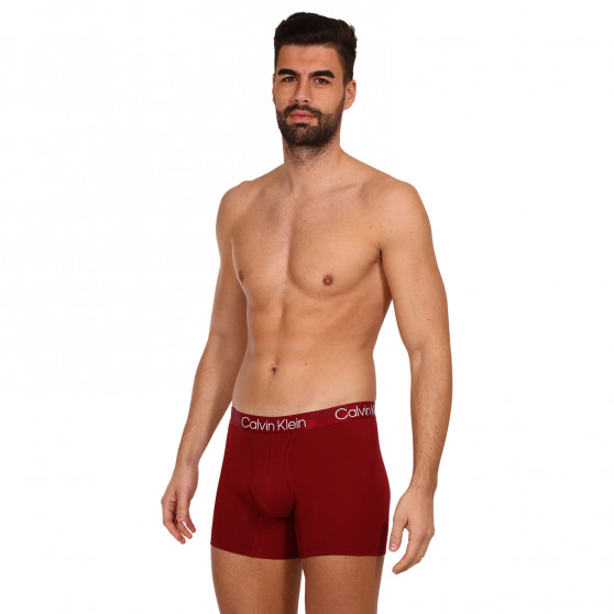 3PACK Vyriški boksininko šortai Calvin Klein daugiaspalviai (NB2971A-6IN)