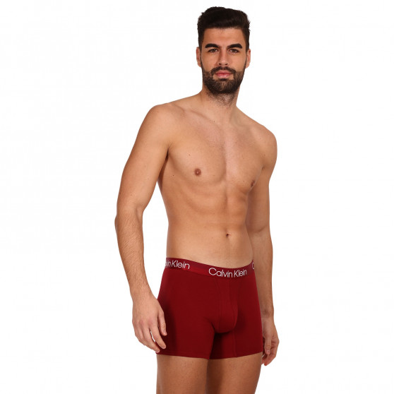 3PACK Vyriški boksininko šortai Calvin Klein daugiaspalviai (NB2971A-6IN)