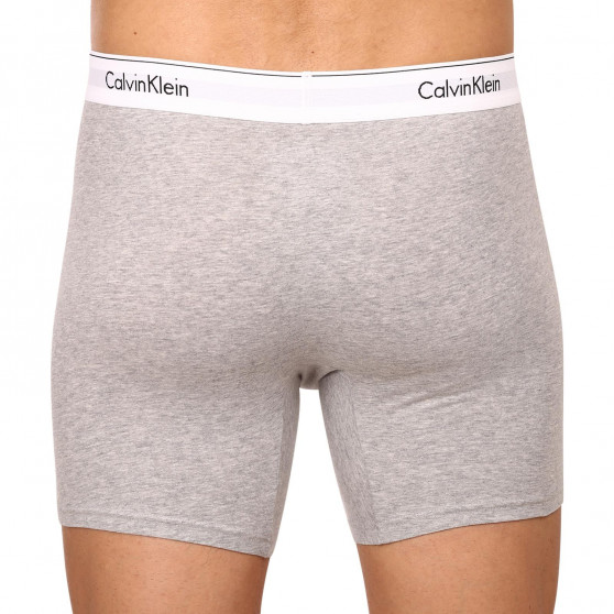 3PACK Vyriški boksininko šortai Calvin Klein daugiaspalviai (NB2381A-MP1)