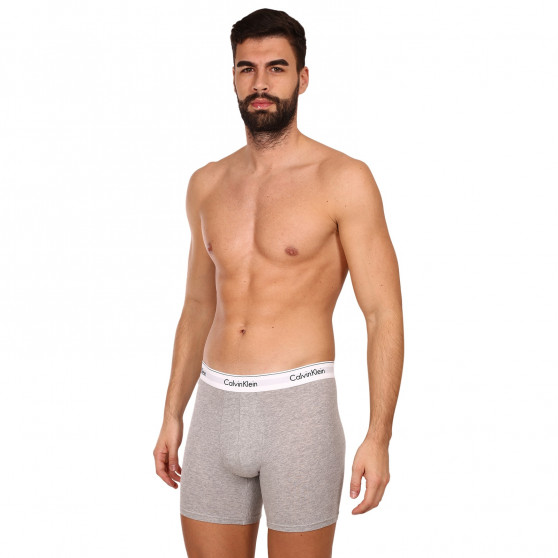 3PACK Vyriški boksininko šortai Calvin Klein daugiaspalviai (NB2381A-MP1)