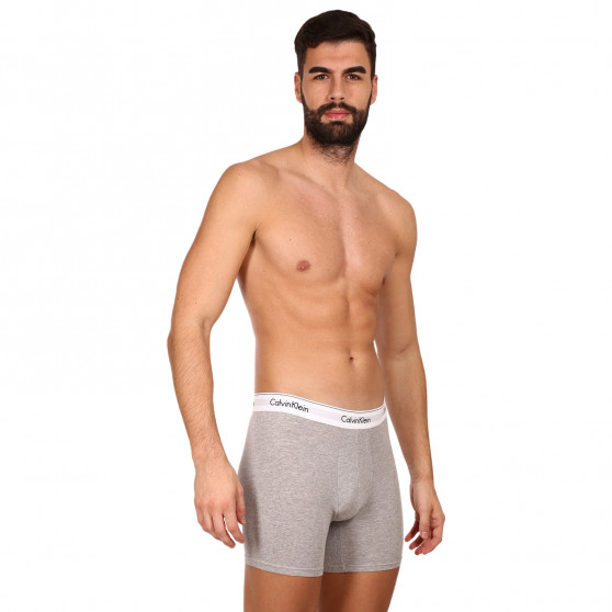 3PACK Vyriški boksininko šortai Calvin Klein daugiaspalviai (NB2381A-MP1)