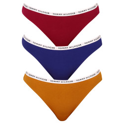 3PACK Moteriškos kelnaitės Tommy Hilfiger multicolour (UW0UW02828 0XH)