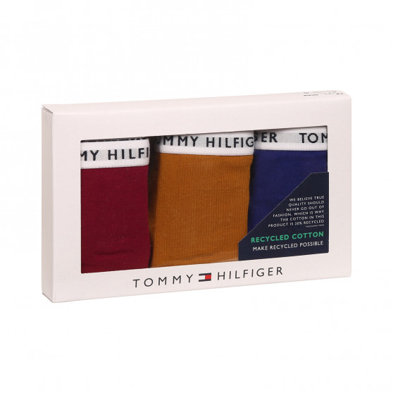 3PACK Moteriškos kelnaitės Tommy Hilfiger multicolour (UW0UW02828 0XH)