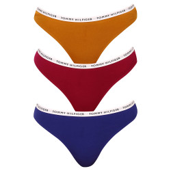 3PACK Moteriški stringai Tommy Hilfiger multicolour (UW0UW02829 0XH)