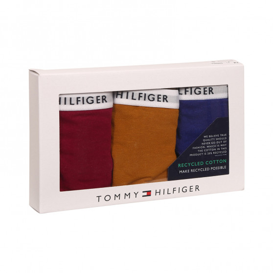 3PACK Moteriški stringai Tommy Hilfiger multicolour (UW0UW02829 0XH)