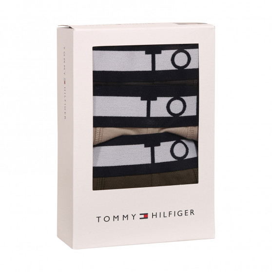 3PACK Vyriški boksininko šortai Tommy Hilfiger daugiaspalviai (UM0UM02202 0UM)