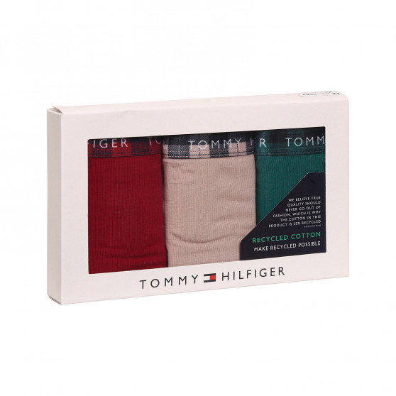 3PACK Moteriškos kelnaitės Tommy Hilfiger multicolour (UW0UW02828 0WQ)